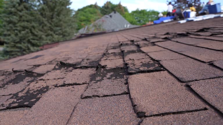 Best Emergency Roof Repair Services  in Columbus Grove, OH