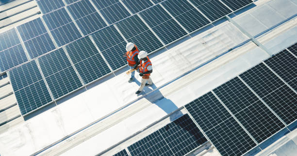 Best Roof Moss and Algae Removal  in Columbus Grove, OH